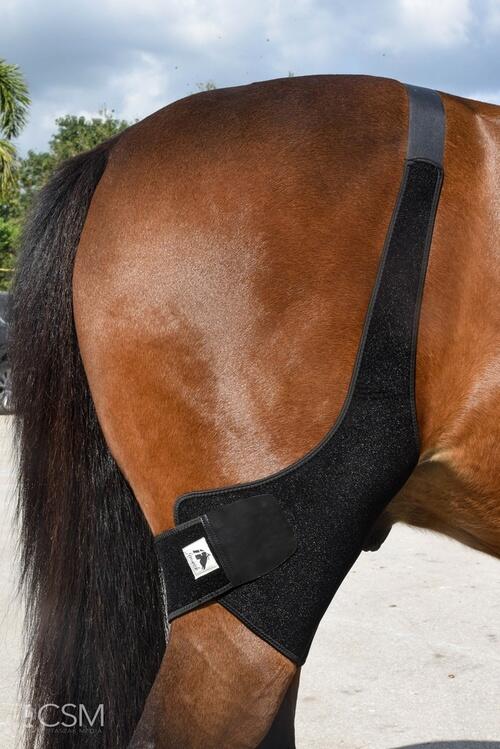 Fenwick Liquid Titanium Stifle Wrap til bagknæ