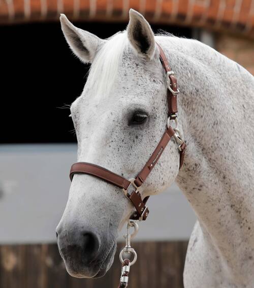 Premier Equine nylongrime med foer - Brun, Cob