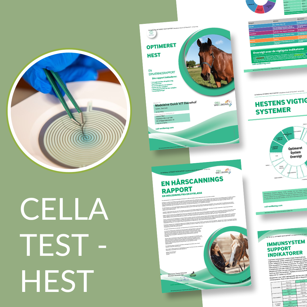 CELLA TEST - HEST - VI KOMMER TIL DIG