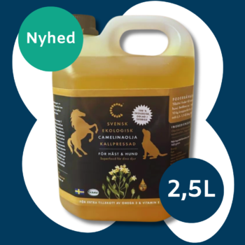 Camelina olie økologisk - 2,5 Liter