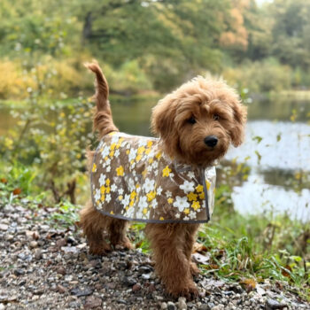 Regnjakke til hund m. Blomster / gul - Small