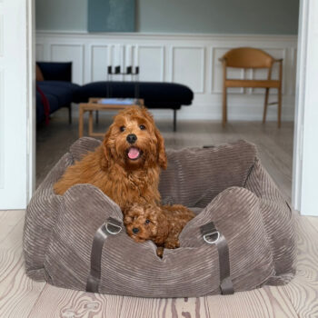 Bjørk bilsæde / dobbelt til 2 hunde / mørk brun