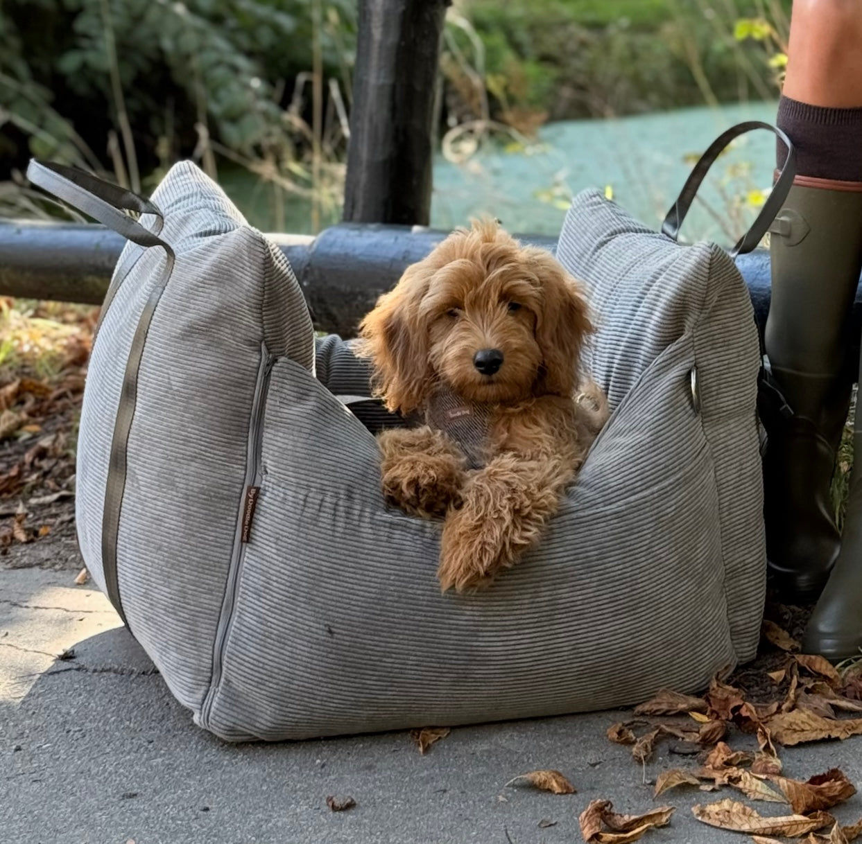 Bjørk bilsæde til hunde - Grå