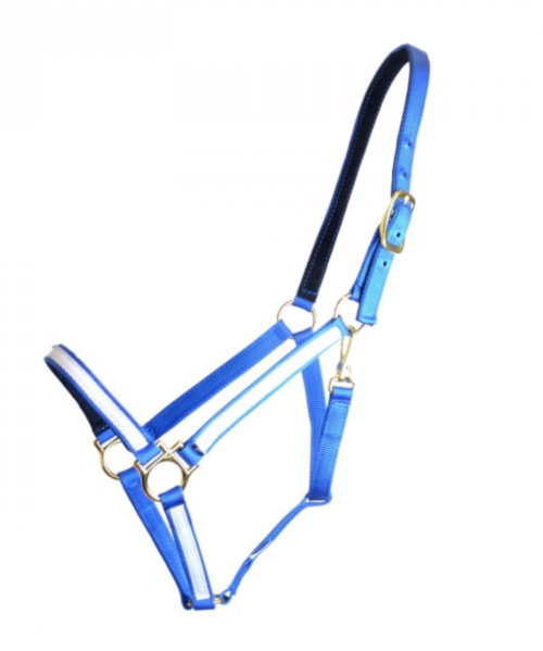 Equitare Pro nylongrime - Blå/hvid, Cob