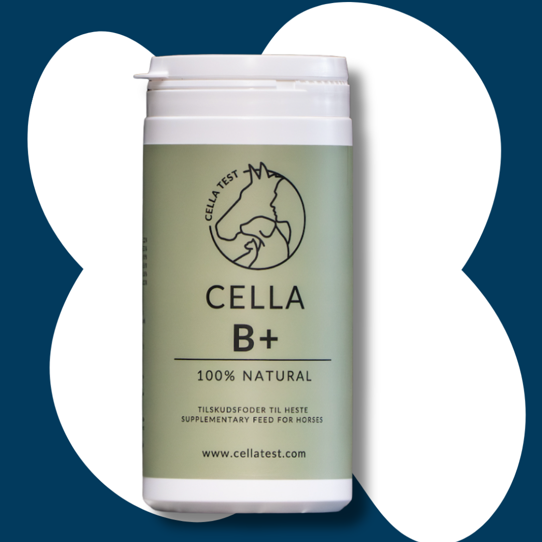 CELLA B+