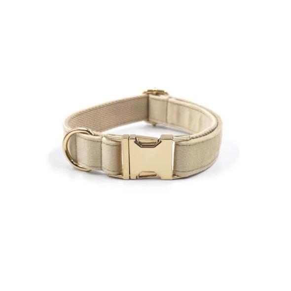 Hundehalsbånd  Ella - Beige - Xxs