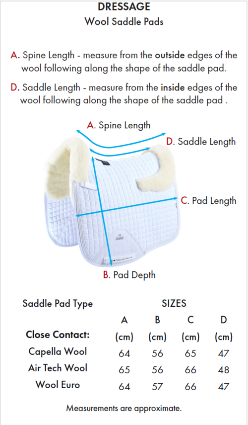 Premier Equine European CC Merino dressurunderlag - Hvid/Natur