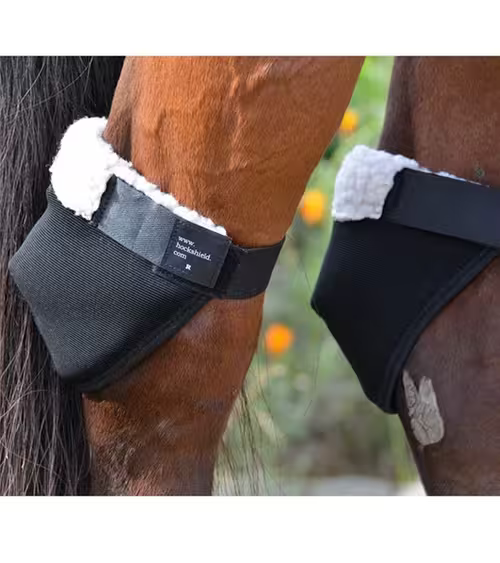 Click Hock Shields® hase beskytter