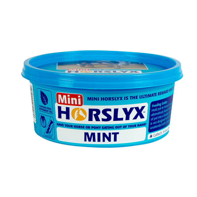 Horslyx mini - mint