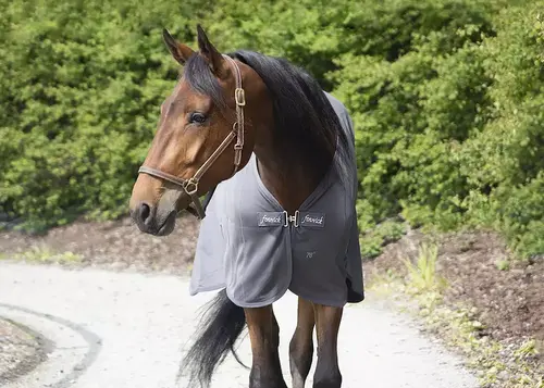 Fenwick Liquid Titanium® stald & cooler dækken - Grå, 155cm