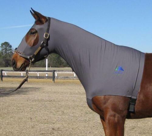 Fenwick Liquid Titanium Hood - L