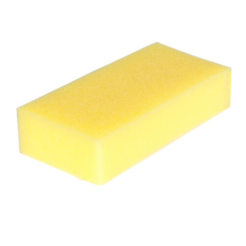 Lille svamp