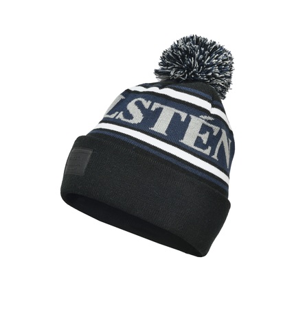 Wahlsten Logo Beanie 2.0 - Sort/Navy