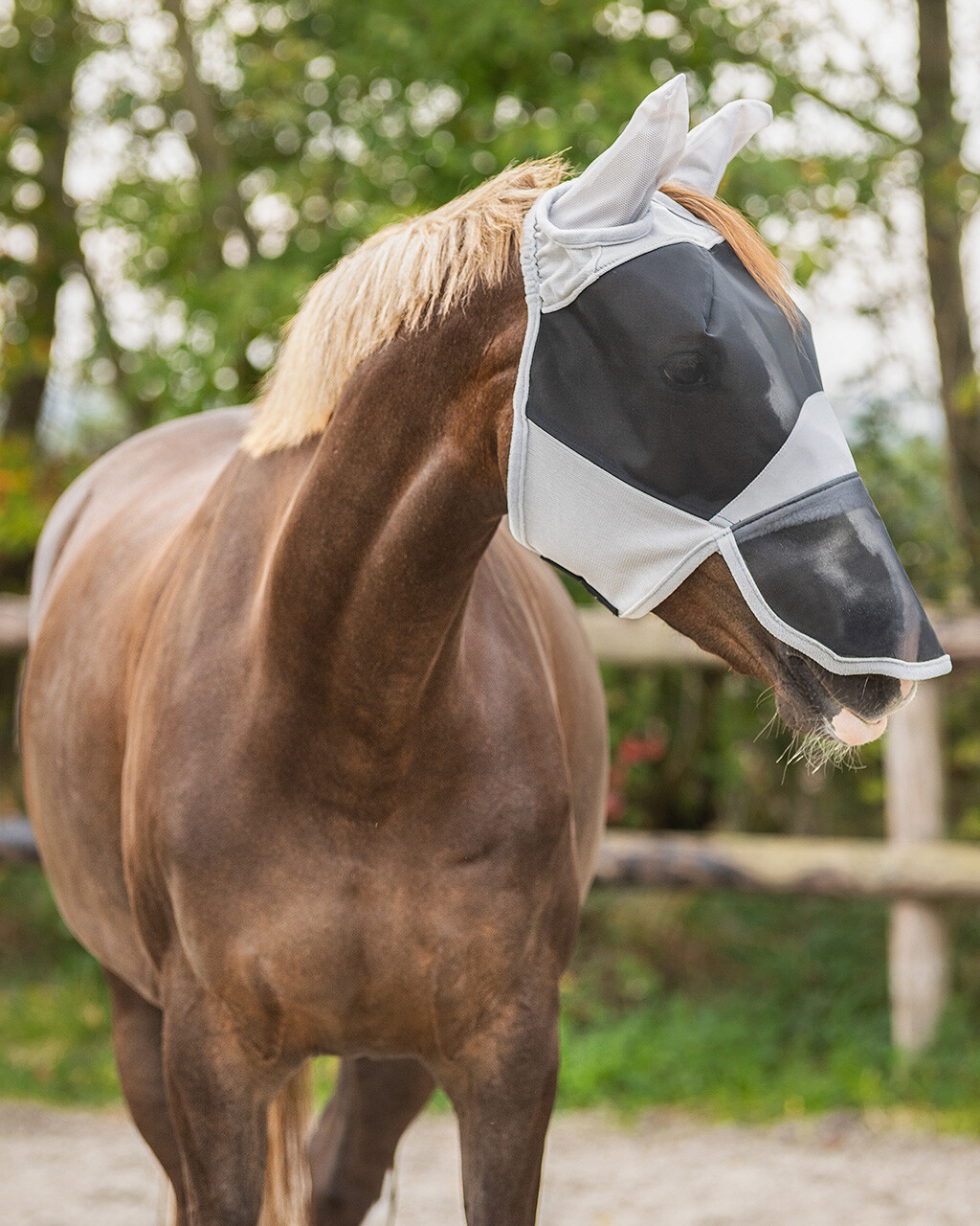 QHP Solaire fluemaske med UV-beskyttelse - Full