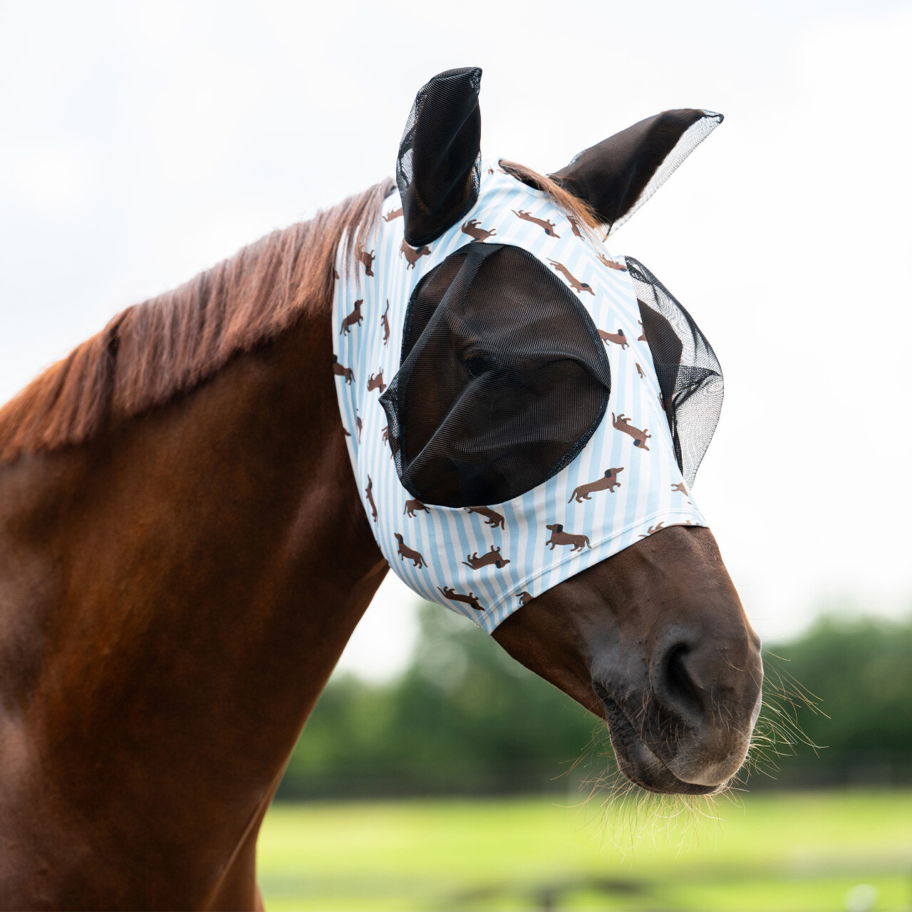QHP Super bug Stable Buddy fluemaske - Shetland