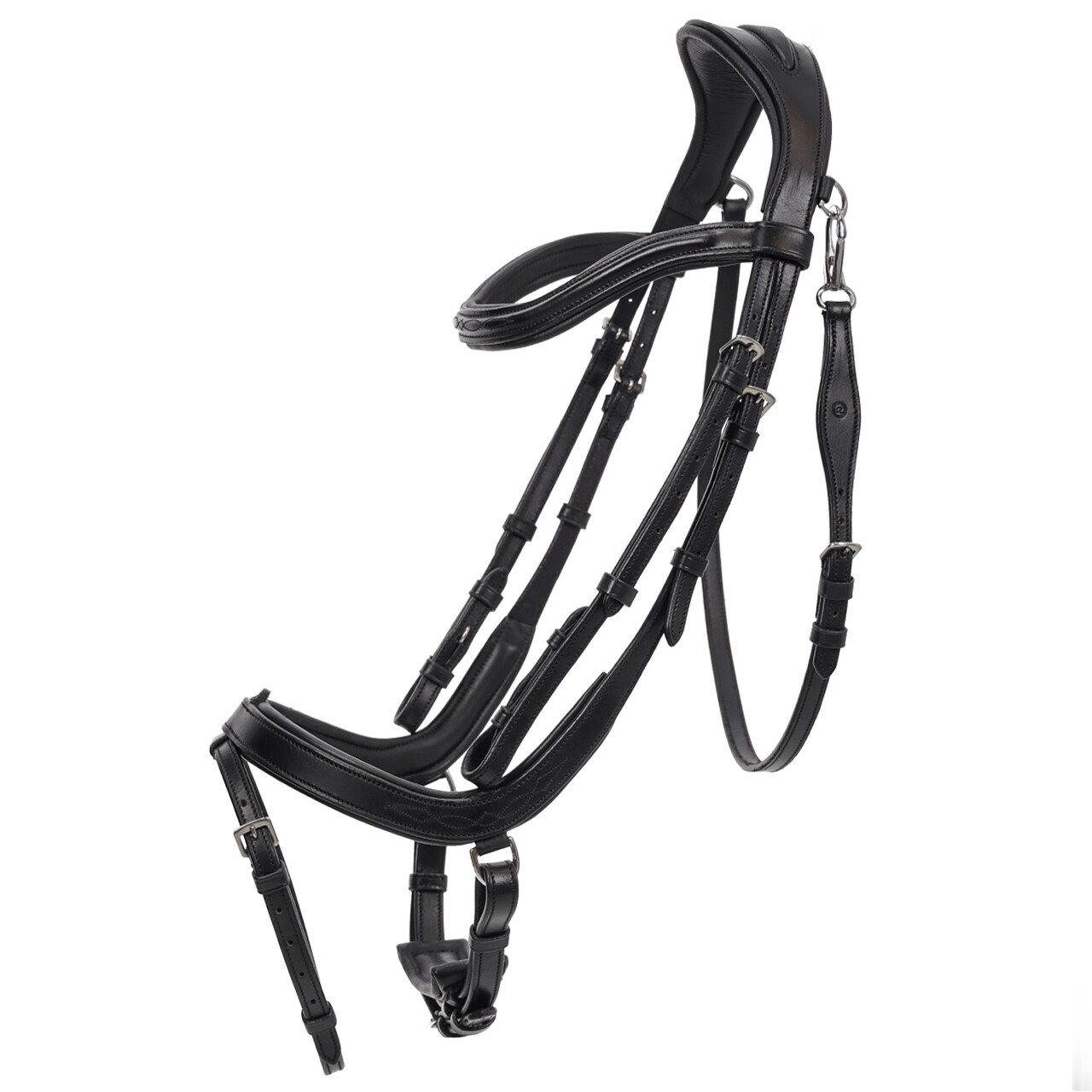 QHP Salerno trense - sort - Cob