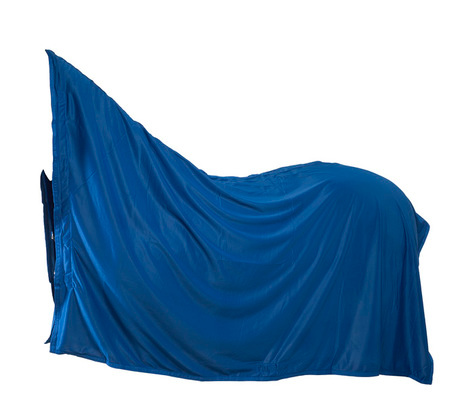 Wahlsten shiny cooler - Pony - Royal Blue