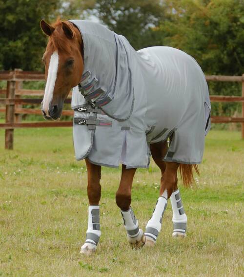 Premier Equine Bug Buster insekt dækken med maveklap - 5,0" (115cm)