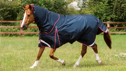 Premier Equine Buster 100g dækken - Snug-fit hals - 7,3" (165cm), Navy