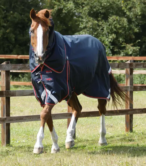 Premier Equine Buster 50g med aftagelig Snug-Fit hals - Navy - 5,0" (115cm)