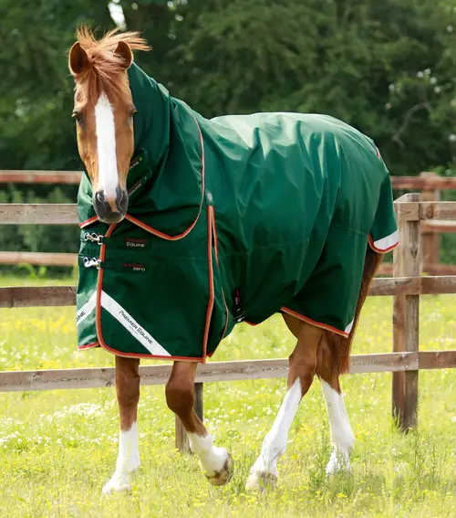 Premier Equine Buster Zero 0g med aftagelig hals - Grøn - 5,0  115cm
