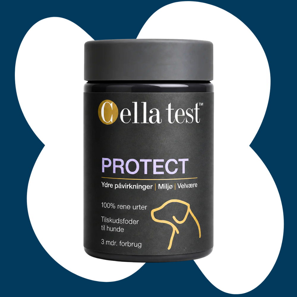Cella Test Protect