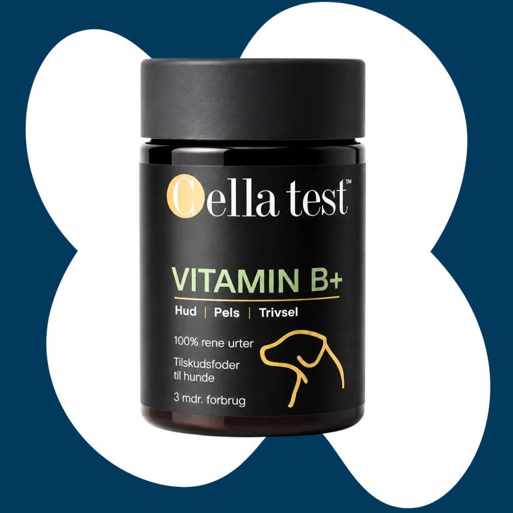 Cella Test B+