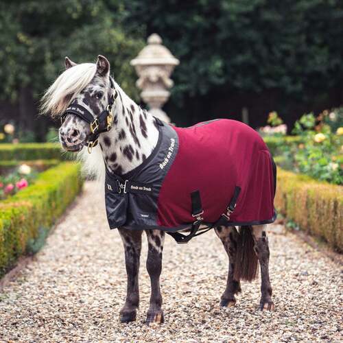Back on Track Royal Deluxe Pony netdækken - Vinrød - 75cm