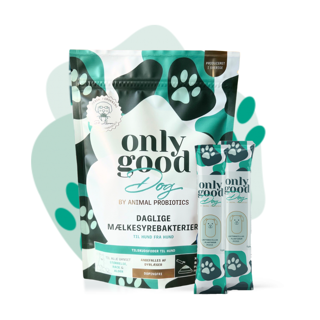 OnlyGoodDog - Small pakke 15 portioner