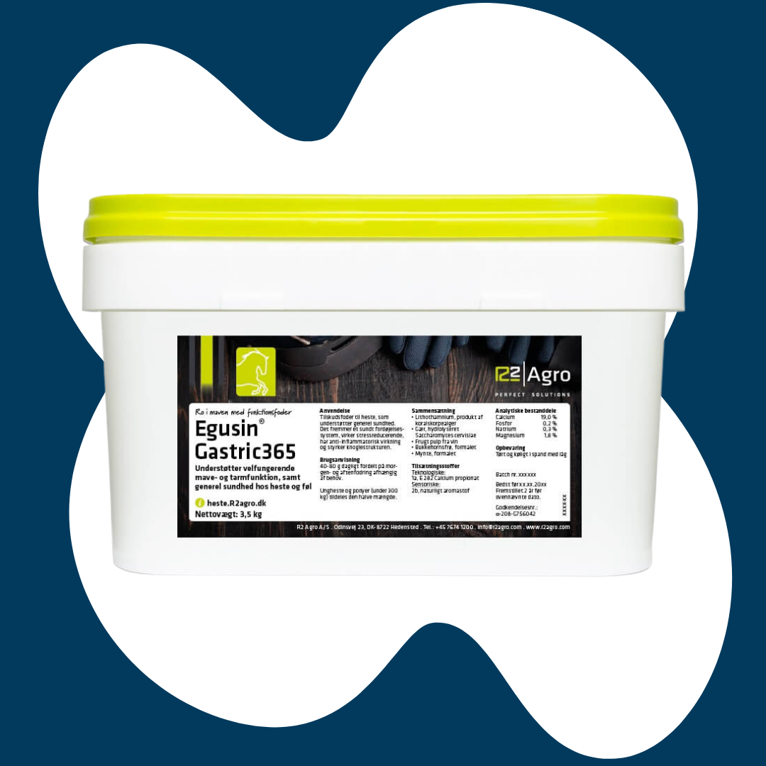 Egusin 365 - 3 kg - Piller