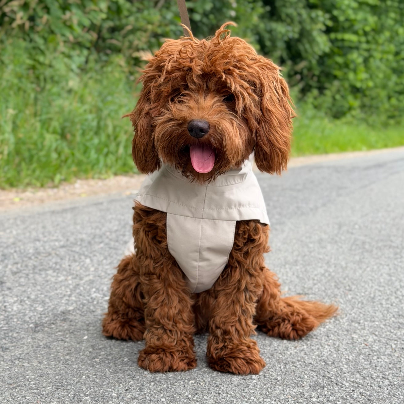 By Doodle Dogs regnjakke i beige - 1