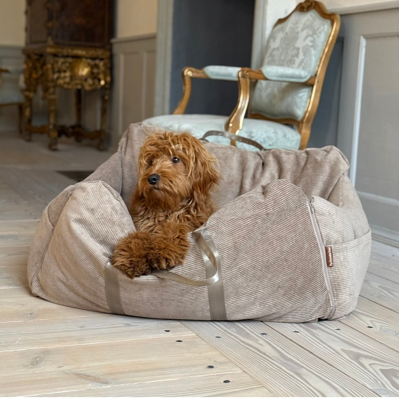 Bjørk bilsæde / dobbelt til 2 hunde