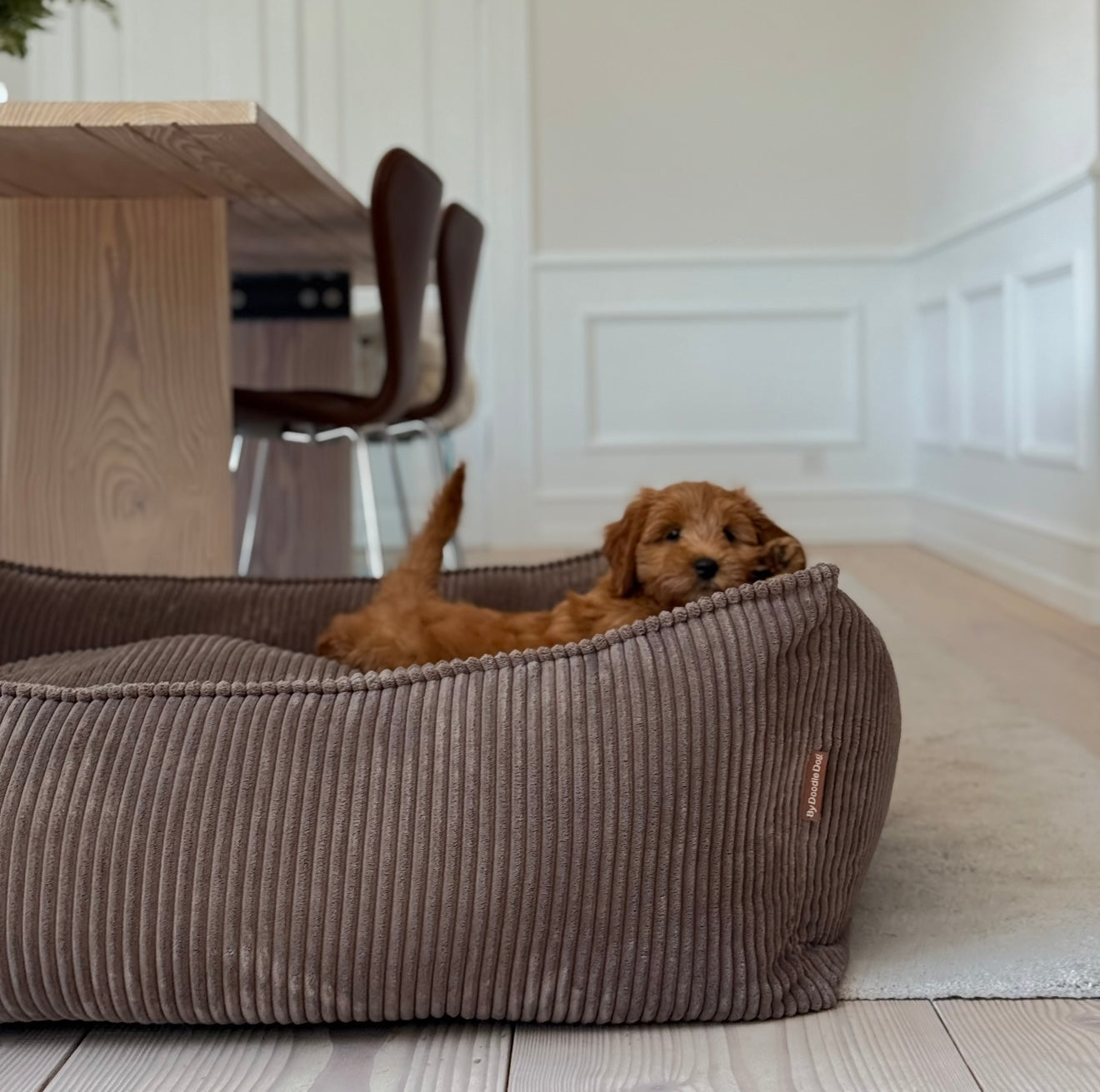 Carl hundekurven XL / mørk brun / forudbestilling uge 1