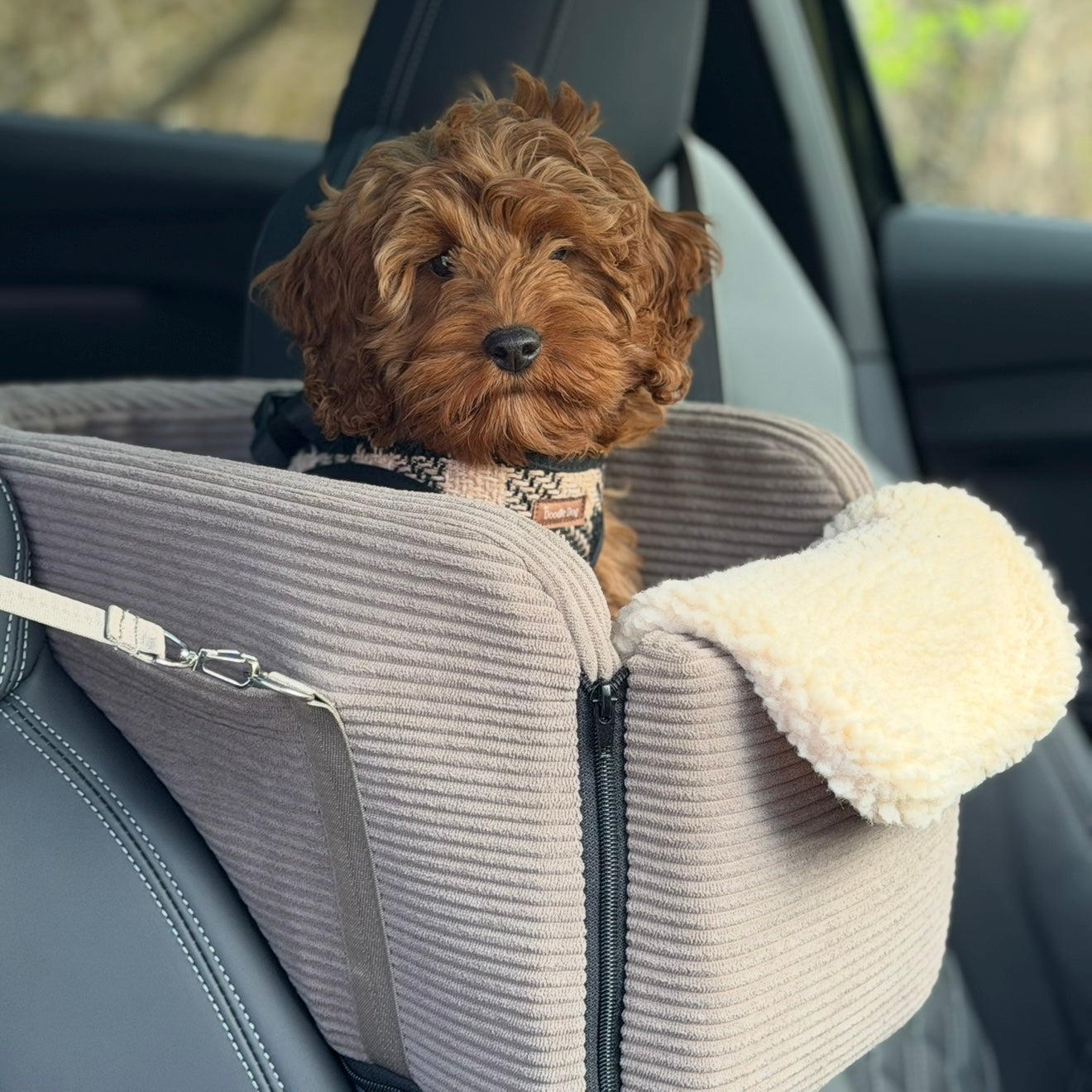 Agnes bilsæde til hunde / midterkonsol