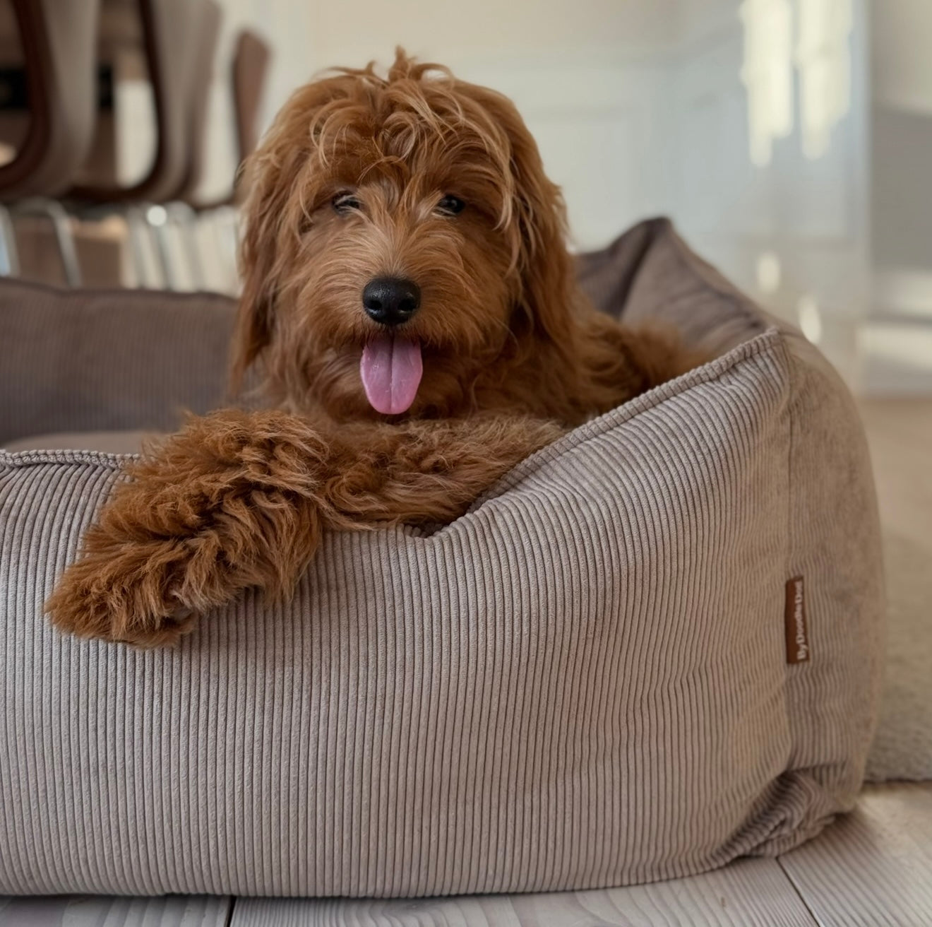 Carl hundekurven lys brun smal fløjl - Medium