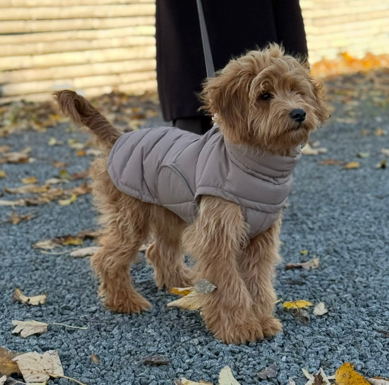 BY DOODLE DOGS EVA HUNDEJAKKE VINTER / Brun - 1