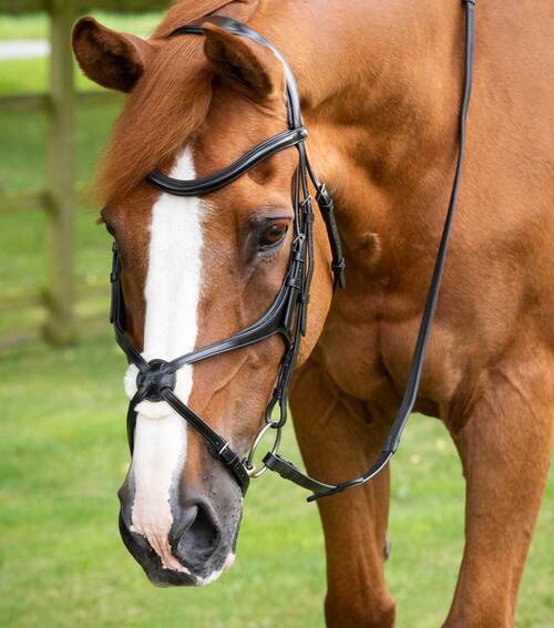 Premier Equine Gloriso Grackle trense - Sort, Pony