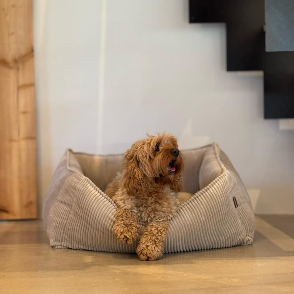 Carl hundekurv - Beige i bred fløjl - Large