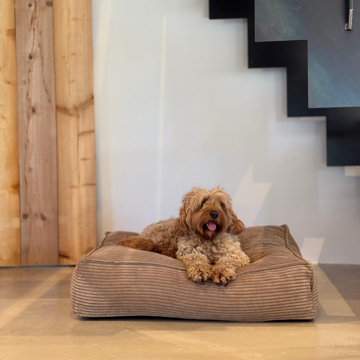 Frede hundekurven / Lys brun - Medium