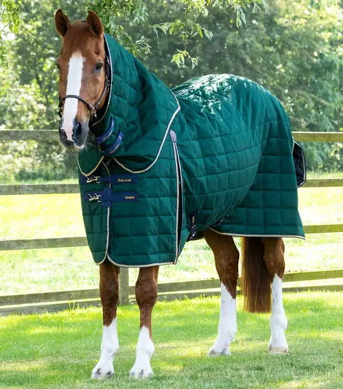 Premier Equine Lucanta 200g stald dækken med hals - Grøn - 5,0  115cm