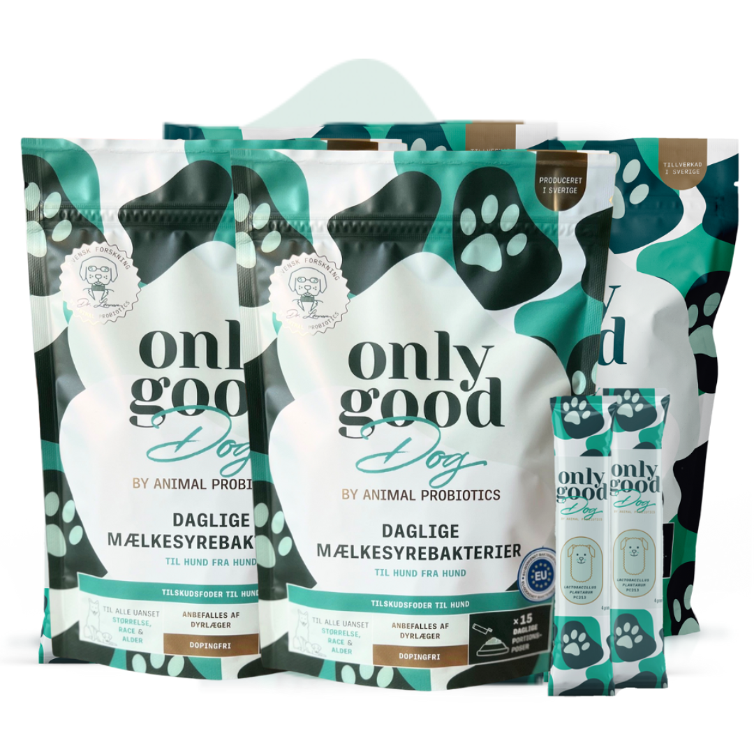 OnlyGoodDog - Large pakke 60 portioner