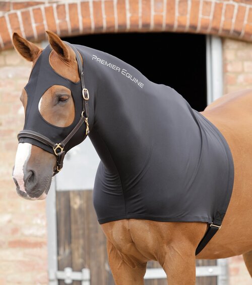 Premier Equine Strech Hood - L