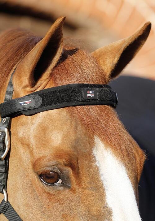 Premier Equine Magni-Teque Magnet pandebånd til hest
