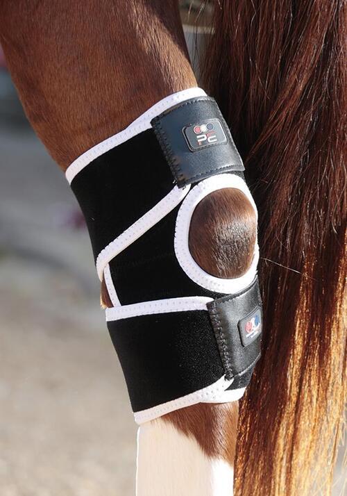 Premier Equine Magni-Teque Magnet hase bandage - Par