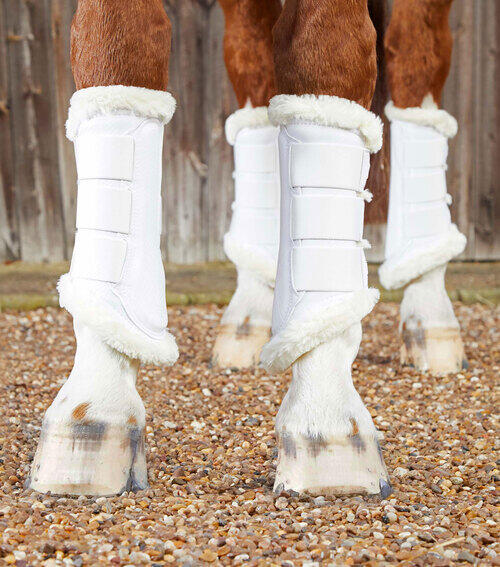 Premier Equine Techno Wool gamacher - Hvid, S