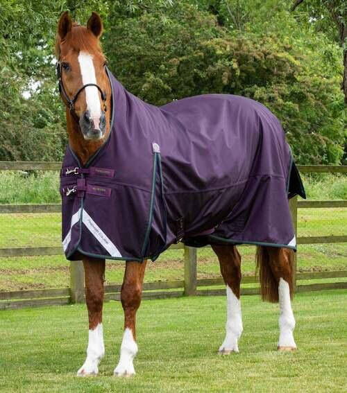 Premier Equine Buster Hardy dækken 100g med høj hals - Lilla - 5,0  115cm