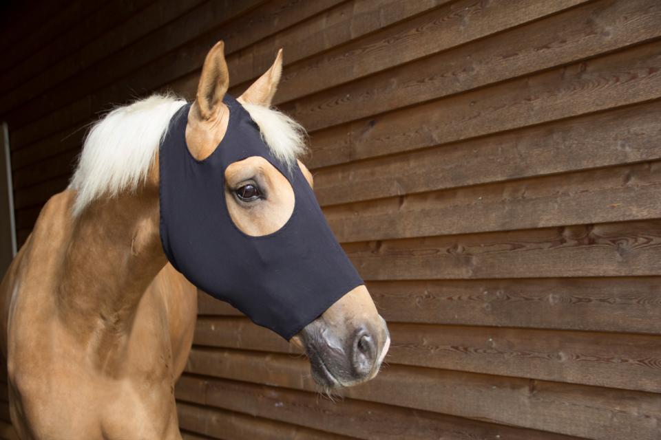 Catago FIR-Tech maske - Pony