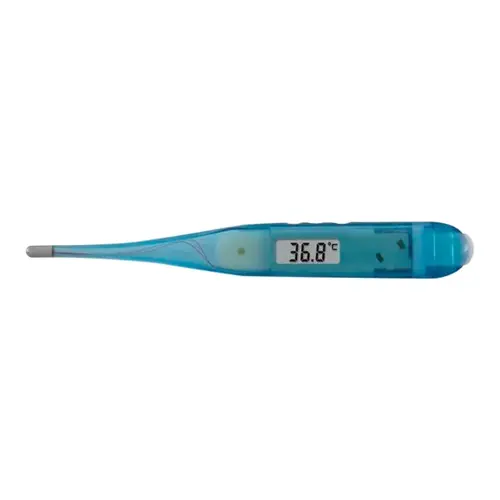 Termometer - Digitalt