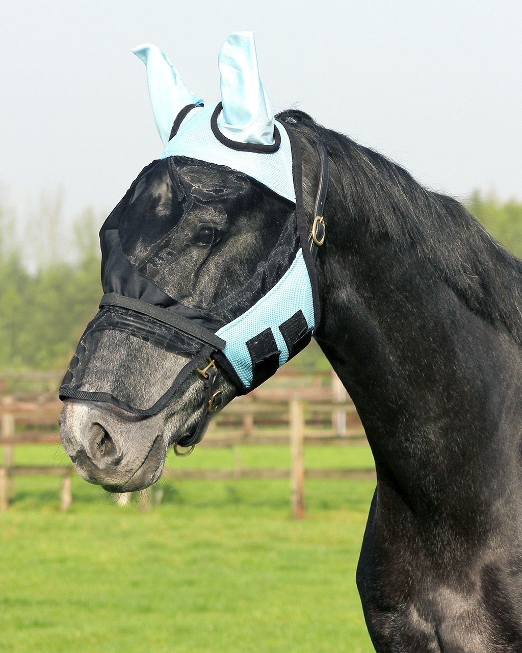 QHP fluemaske - Pony - Lys blå