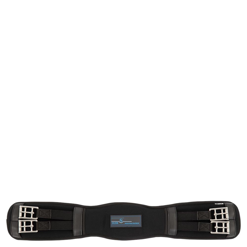 BR Evolution gjord - memoryskum dressur - 55